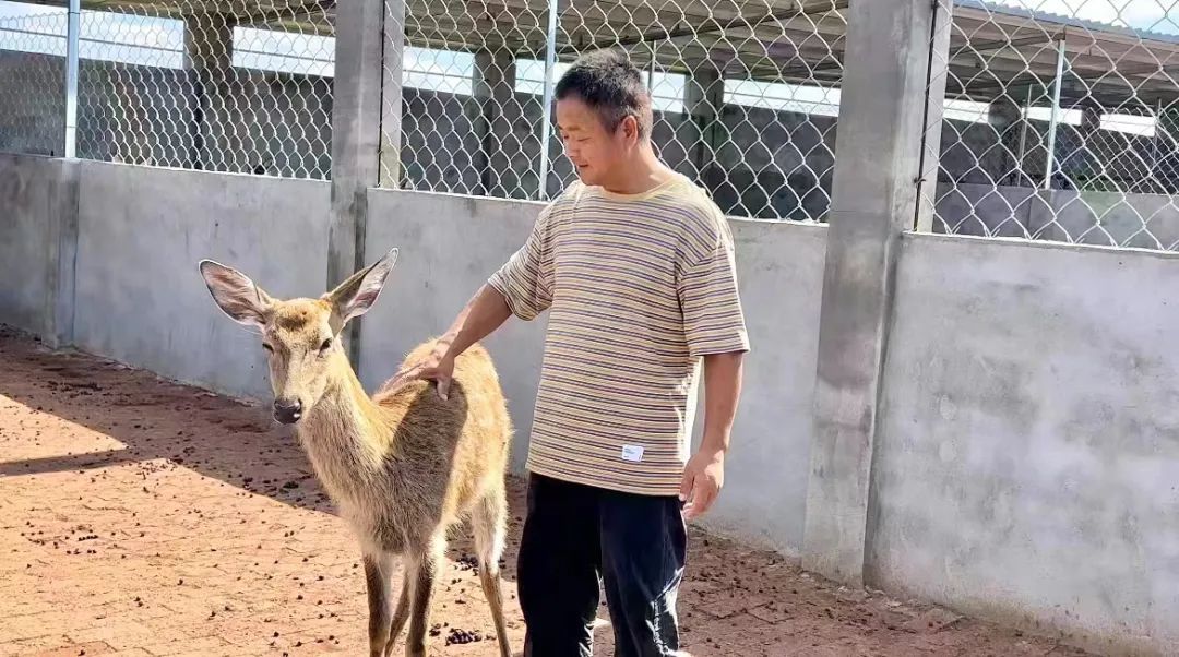 蒙特卡罗平台官网